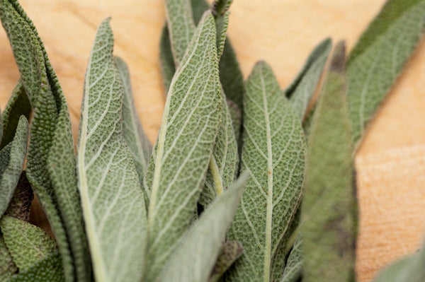 Fried Sage Chips – WillYUM Spice